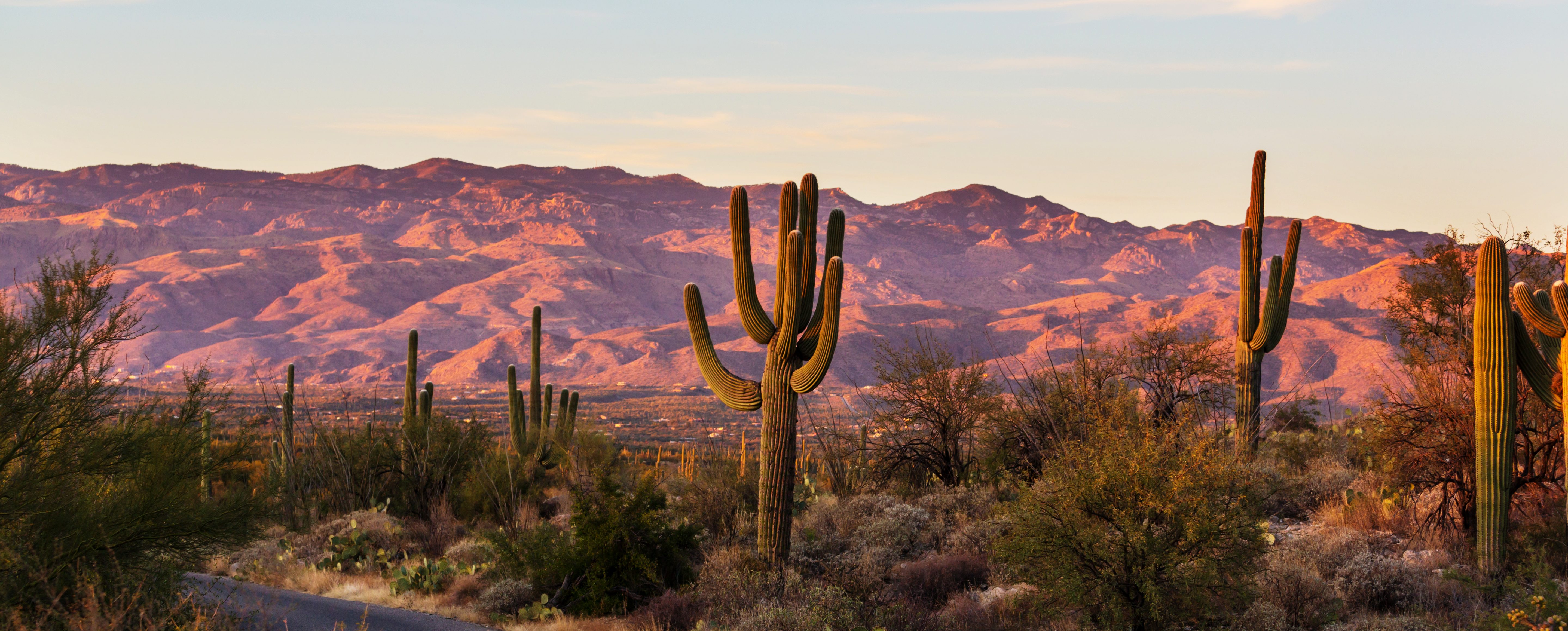 Five Obscure Deserts